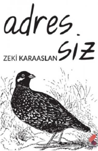 Adressiz - Zeki Karaaslan - Klaros Yayınları