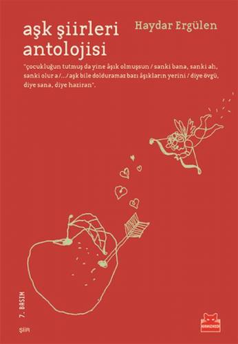 Aşk Şiirleri Antolojisi - Haydar Ergülen - Kırmızı Kedi Yayınevi