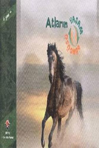 Atların Yaşam Döngüsü - David M.Schwartz - TÜBİTAK Yayınları