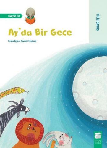 Ay'da Bir Gece - Filiz Çavuş - Final Kültür Sanat Yayınları