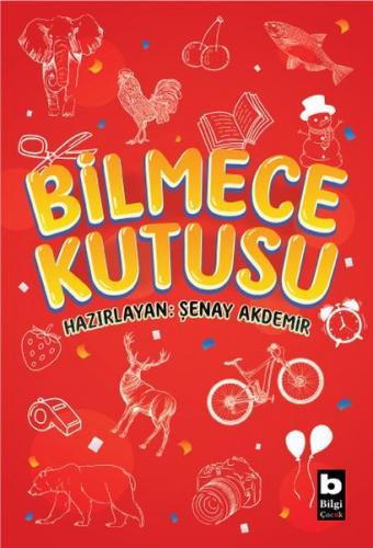 Bilmece Kutusu - Şenay Akdemir - Bilgi Yayınevi