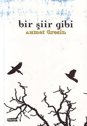 Bir Şiir Gibi - Ahmet Üresin - Tebeşir Yayınları