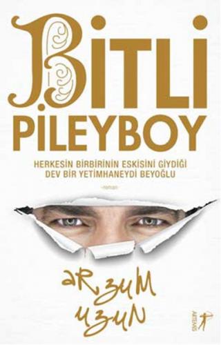 Bitli Pileyboy - Arzum Uzun - Artemis Yayınları