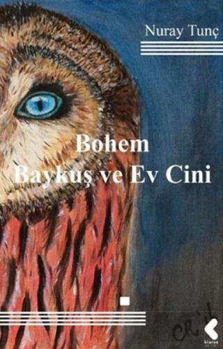 Bohem Baykuş ve Ev Cini - Nuray Tunç - Klaros Yayınları