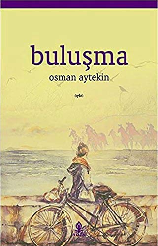 Buluşma - Osman Aytekin - Roza Yayınevi