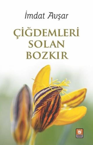 Çiğdemleri Solan Bozkır - İmdat Avşar - Türk Edebiyatı Vakfı Yayınları