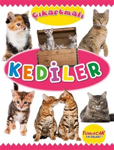 Çıkartmalı Kediler - Kolektif - Yumurcak Yayınları