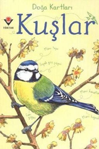 Doğa Kartları - Kuşlar - Emily Bon - TÜBİTAK Yayınları