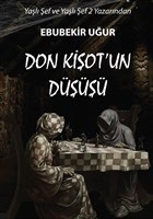 Don Kişot'un Düşüşü - Ebubekir Uğur - Uyanış Yayınevi