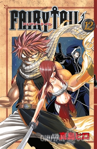 Fairy Tail 12. Cilt (Ciltli) - Hiro Maşima - Gerekli Şeyler Yayıncılık