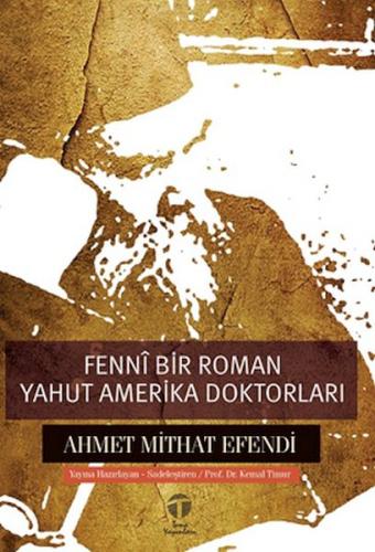 Fennî Bir Roman yahut Amerika Doktorları - Ahmet Mithat Efendi - Tema 