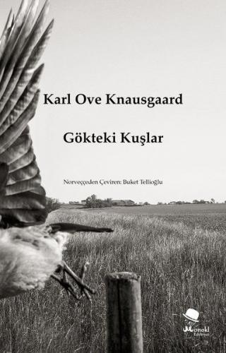 Gökteki Kuşlar - Karl Ove Knausgaard - MonoKL