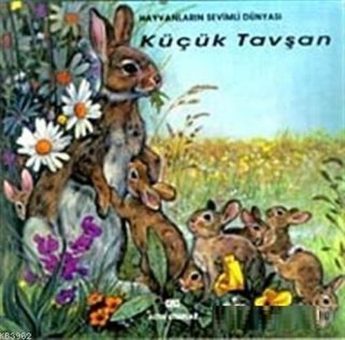 Küçük Tavşan (Ciltli) - Marie Duval - Altın Kitaplar