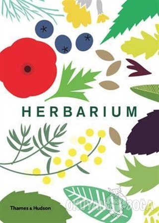 Herbarium (Ciltli) - Caz Hildebrand - Thames and Hudson