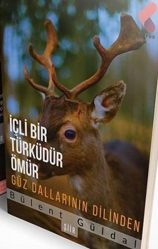 İçli Bir Türküdür Ömür - Bülent Güldal - Klaros Yayınları