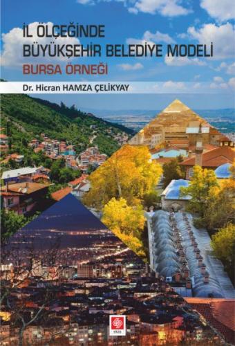 İl Ölçeğinde Büyükşehir Belediye Modeli: Bursa Örneği - Hicran Hamza Ç