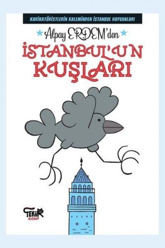 İstanbul'un Kuşları - Alpay Erdem - Tekir Kitap