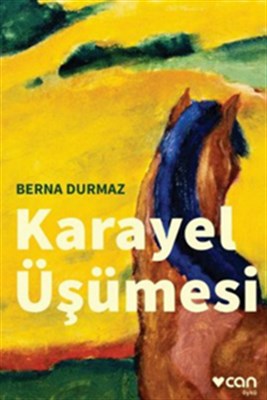 Karayel Üşümesi - Berna Durmaz - Can Yayınları