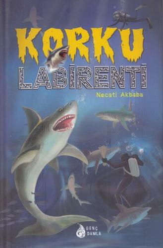 Korku Labirenti - Necati Akbaba - Damla Yayınevi Çocuk