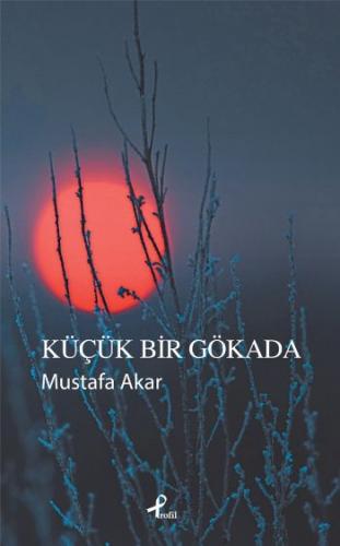 Küçük Bir Gökada - Mustafa Akar - Profil Kitap