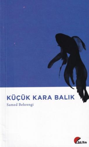 Küçük Kara Balık - Samed Behrengi - Divit Kitap