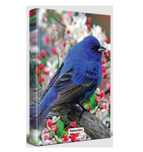 Kuş Bakışı - Süresiz Planlama Defteri - - Halk Kitabevi - Hobi