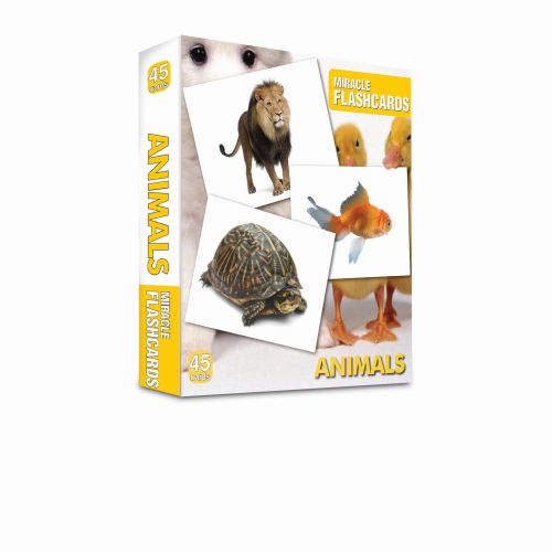 Miracle Flashcards Animals - Kolektif - MK Publications