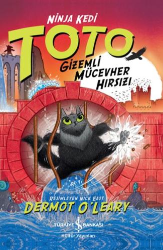 Ninja Kedi Toto – Gizemli Mücevher Hırsızı - Dermot O’Leary - İş Banka