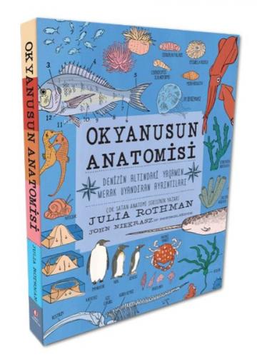 Okyanusun Anatomisi - Julia Rothman - Odtü Yayınları
