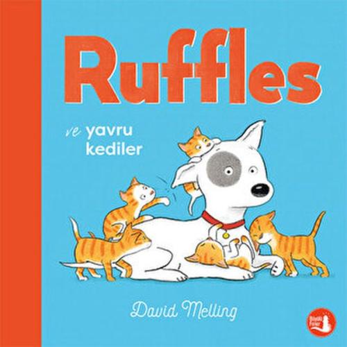 Ruffles ve Yavru Kediler - David Melling - Büyülü Fener Yayınları
