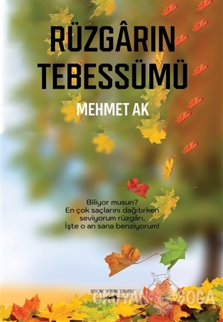 Rüzgarın Tebessümü - Mehmet Ak - Sokak Kitapları Yayınları