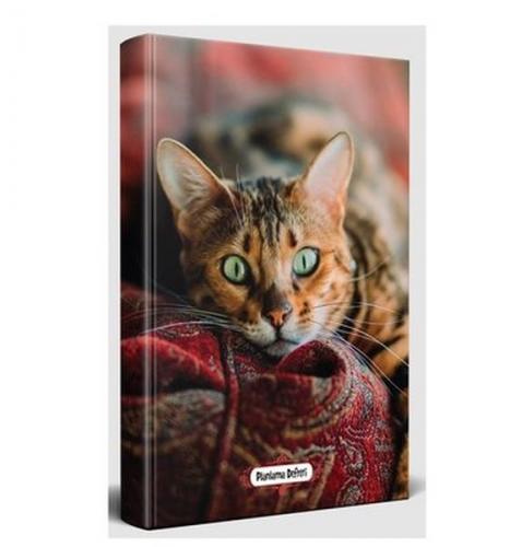 Şaşkın Kedi - Planlama Defteri - - Halk Kitabevi - Hobi