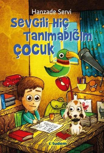 Sevgili Hiç Tanımadığım Çocuk - Hanzade Servi - Tudem Yayınları