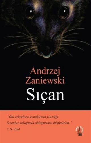 Sıçan - Andrzej Zaniewski - Çoban Yayınları