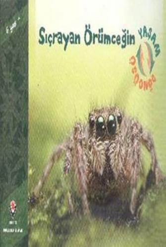 Sıçrayan Örümceğin Yaşam Döngüsü - David M.Schwartz - TÜBİTAK Yayınlar