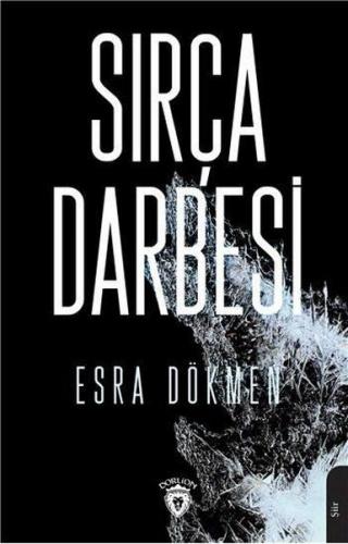 Sırça Darbesi - Esra Dökmen - Dorlion Yayınevi