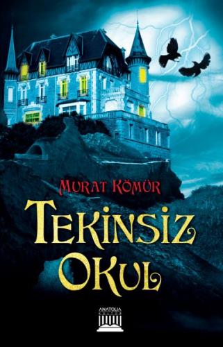 Tekinsiz Okul - Murat Kömür - Anatolia Kitap