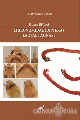Trakya Bölgesi Chironomidae (Diptera) Larval Faunasi - Nurcan Özkan - 