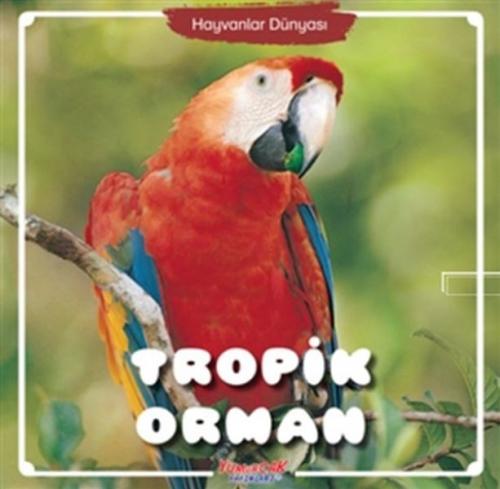 Tropik Orman - Hayvanlar Dünyası - Kolektif - Yumurcak Yayınları