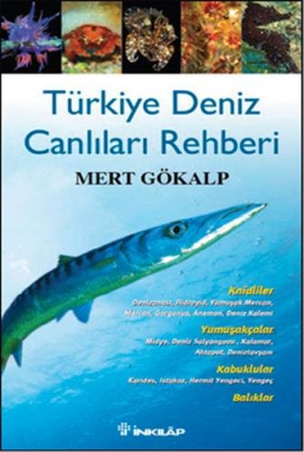 Türkiye Deniz Canlıları Rehberi (Ciltli) - Mert Gökalp - İnkılap Kitab