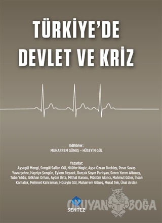 Türkiye'de Devlet ve Kriz - Ayşegül Mengi - Sentez Yayınları