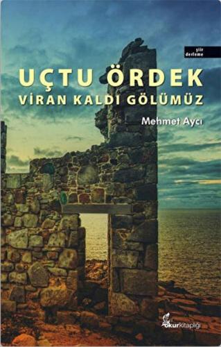 Uçtu Ördek Viran Kaldı Gölümüz - Mehmet Aycı - Okur Kitaplığı