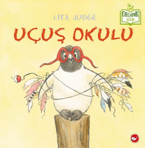 Uçuş Okulu - Organik Kitaplar - Lita Judge - Beyaz Balina Yayınları