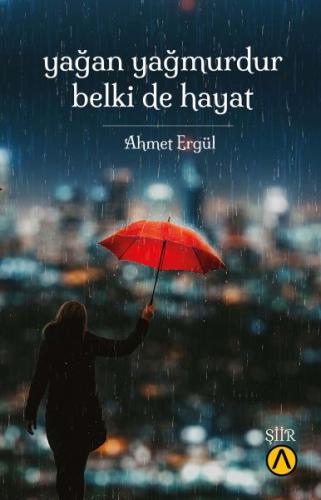 Yağan Yağmurdur Belki de Hayat - Ahmet Ergül - Ares Yayınları