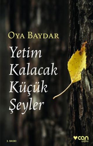 Yetim Kalacak Küçük Şeyler - Oya Baydar - Can Yayınları
