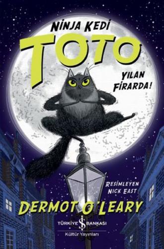 Yılan Firarda - Ninja Kedi Toto - Dermot O'Leary - İş Bankası Kültür Y